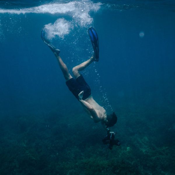 diving Webster Associates